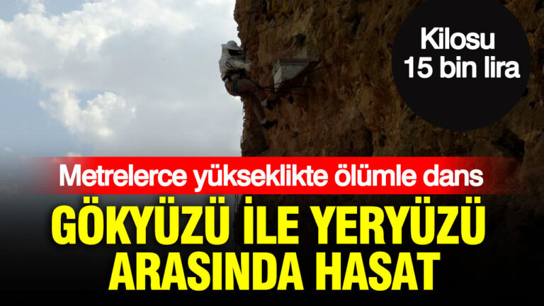 haber-gorseli-1786526083032